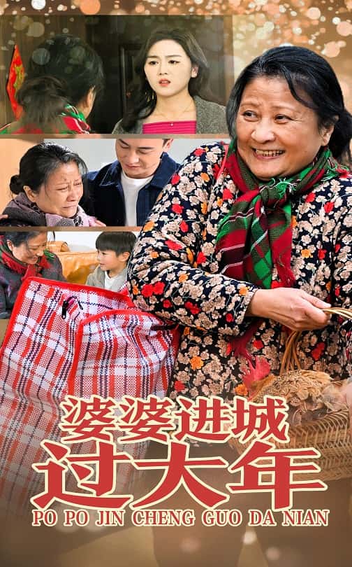 17353-婆婆进城过大年（33集）-资源V站