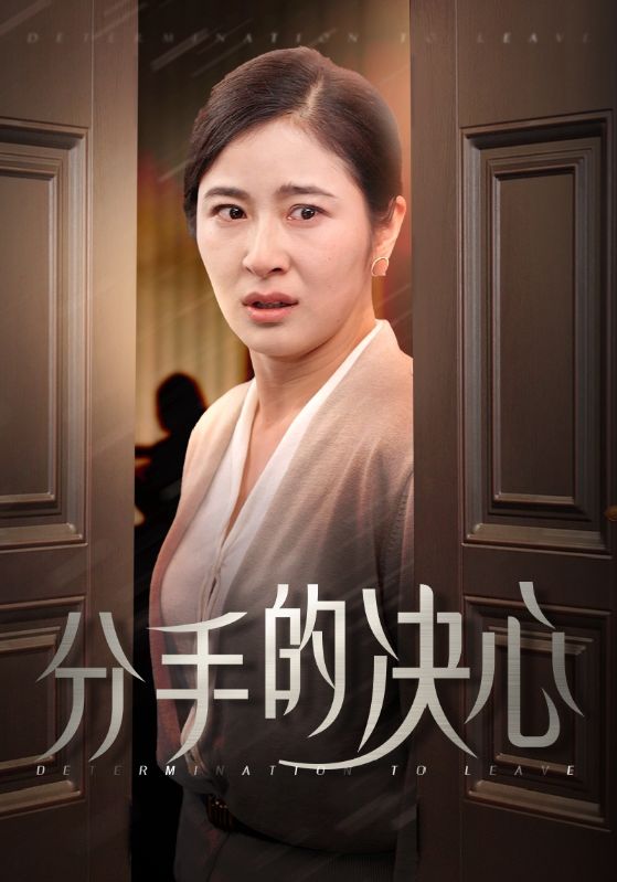 14277-分手的决心（39集）-资源V站