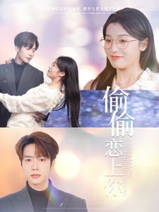 17501-偷偷恋上你（100集）-资源V站