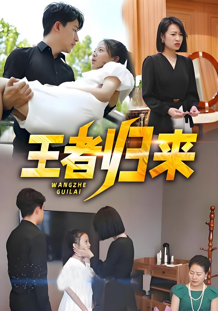 王者归来（93集）-资源V站