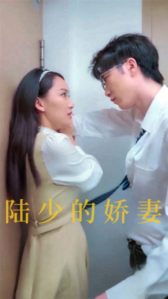 14711-陆少的娇妻（100集）-资源V站