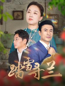18618-踏雪寻兰（94集）-资源V站