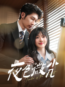 20520-夜色微光（91集）王子林＆田甜一-资源V站
