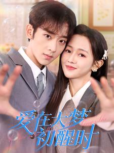 17816-爱在大梦初醒时（100集）-资源V站
