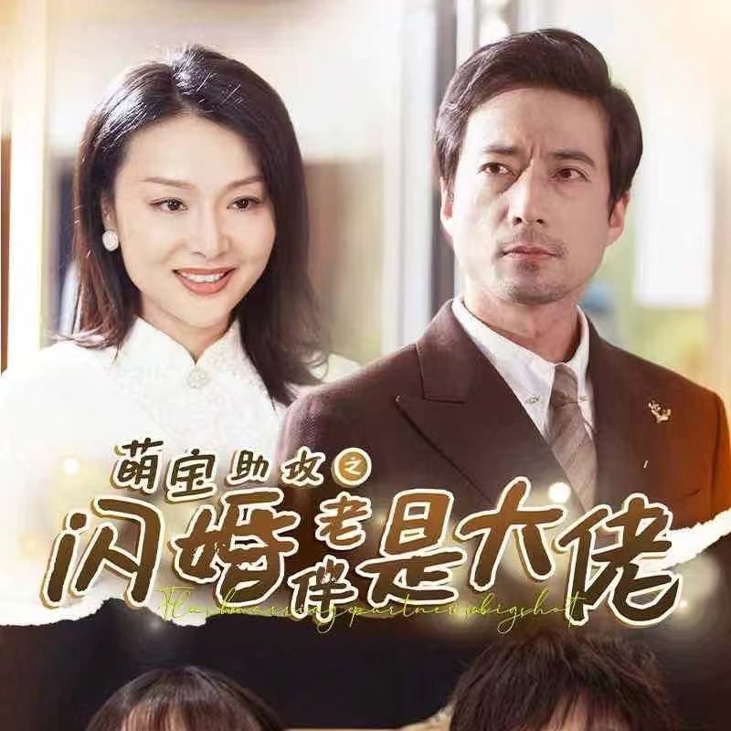 15033-萌宝助攻之闪婚老伴是大佬（64集）-资源V站