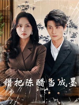 17412-错把陈醋当成墨&把爱留在昨天（29集）-资源V站