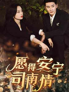 16479-愿得安宁司南情（76集）-资源V站