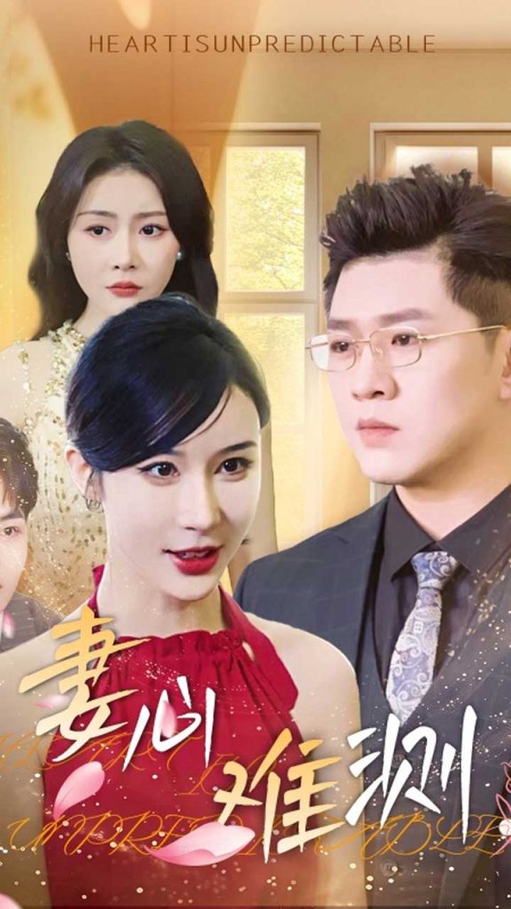 20491-妻心难测（33集）林彤-资源V站