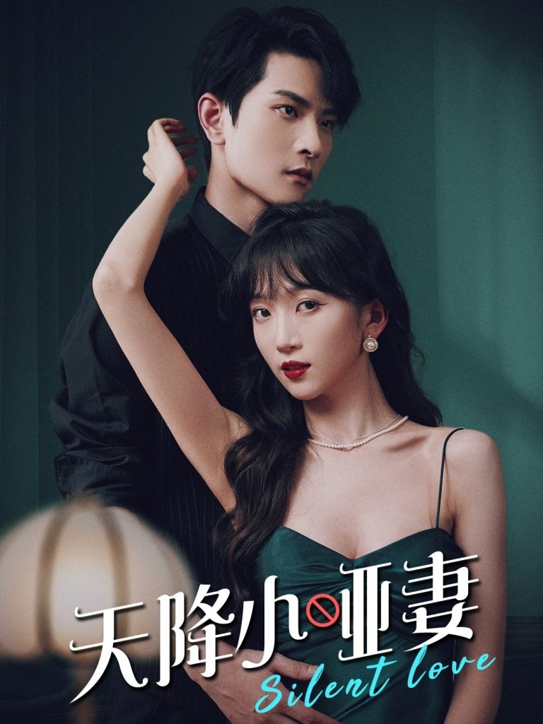 16378-天降小哑妻（80集）-资源V站