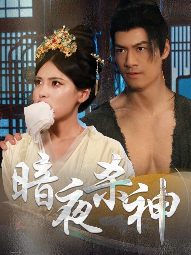 21838-暗夜杀神（49集）-资源V站