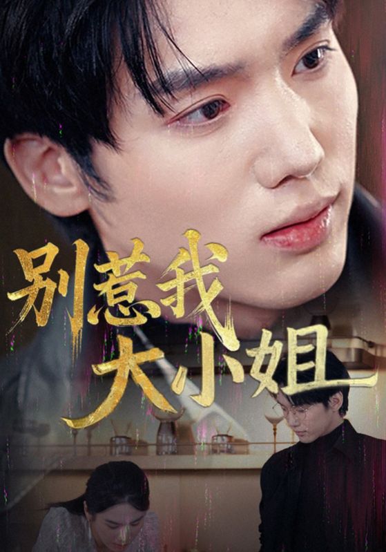 16910-别惹我大小姐（40集）-资源V站