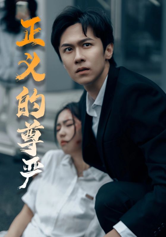 17162-正义的尊严（35集）-资源V站
