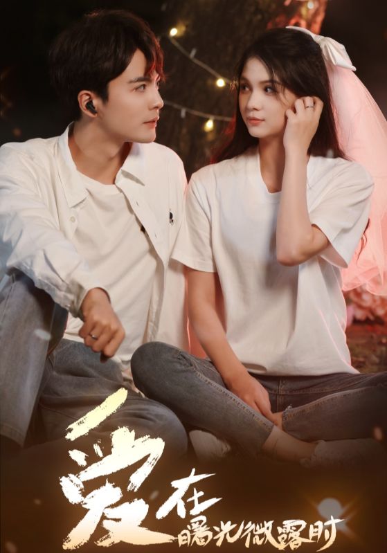 16408-爱在曙光微露时（49集）左一&王楠-资源V站