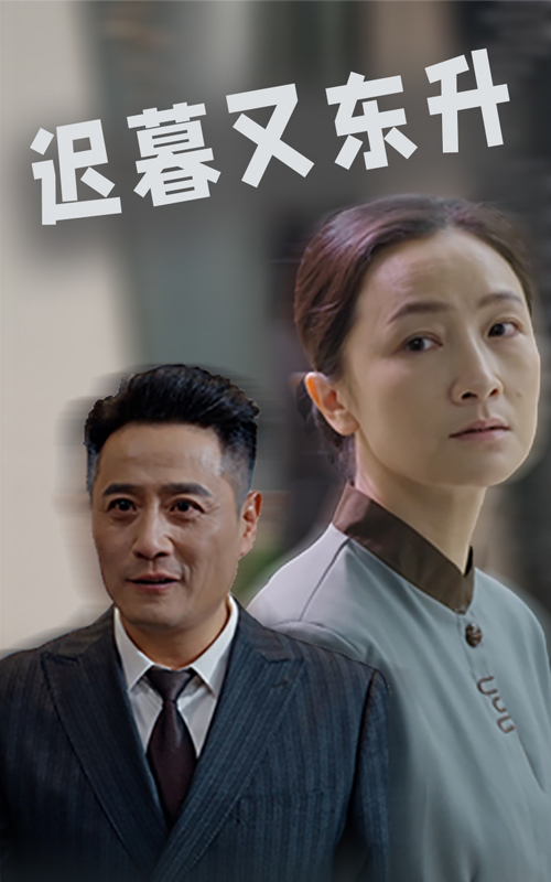 15978-迟暮又东升（35集）-资源V站