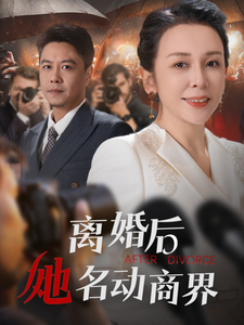 19284-离婚后她名动商界&中年离婚后她名动商界（30集）-资源V站