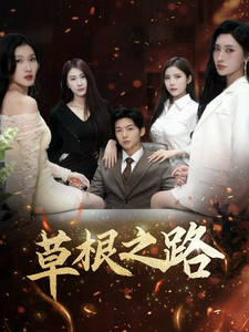 17222-草根之路（29集）-资源V站
