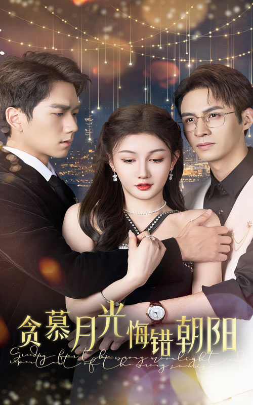 16413-贪慕月光悔错朝阳（48集）-资源V站