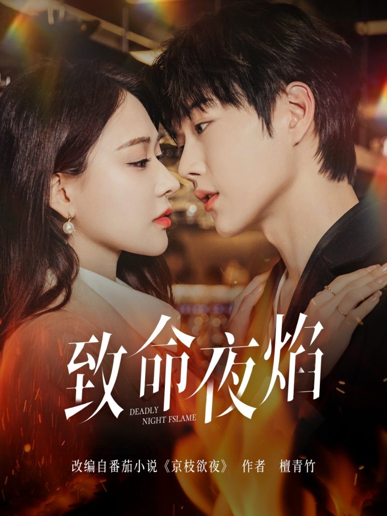 20605-致命夜焰（80集）王轩&何适-资源V站