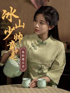 17875-冰山少帅竟是我的傻夫君（86集）-资源V站
