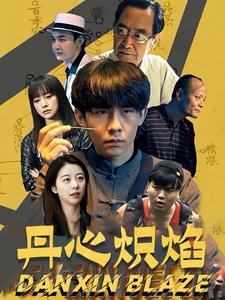 15765-丹心炽焰（70集）-资源V站