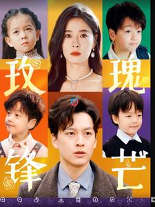 16519-玫瑰锋芒（100集）-资源V站
