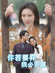 16209-你若要弃我必不离&绝望主妇怒点天灯（30集）-资源V站