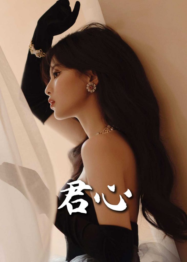 19008-君心（72集）-资源V站