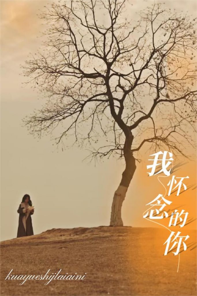 17592-我怀念的你&跨越时间来爱你（38集）-资源V站