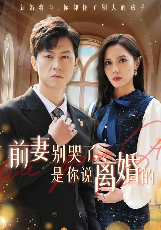 14948-前妻别哭了是你说离婚的（42集）-资源V站
