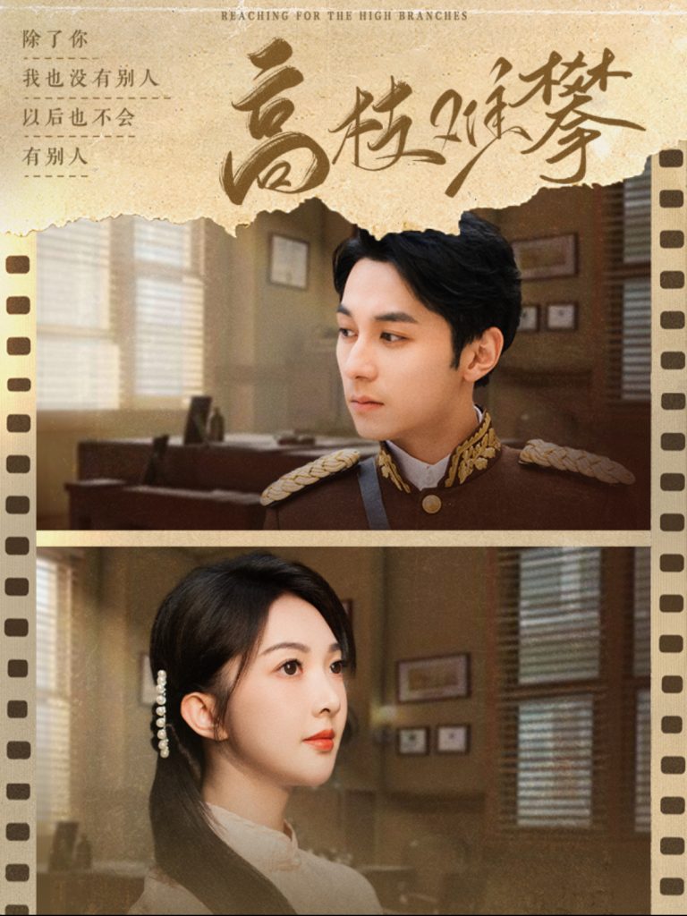 16104-高枝难攀（80集）张屹杨＆丁果-资源V站