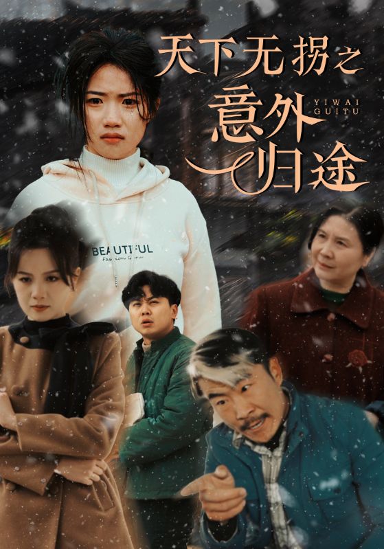 19400-天下无拐之意外归途（61集）高洁慧-资源V站
