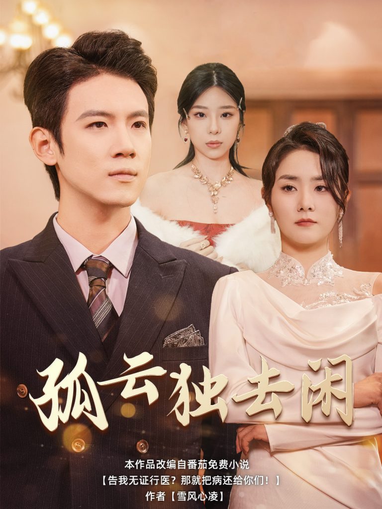 16206-孤云独去闲（60集）-资源V站