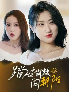 19299-踏破荆棘向朝阳（80集）-资源V站