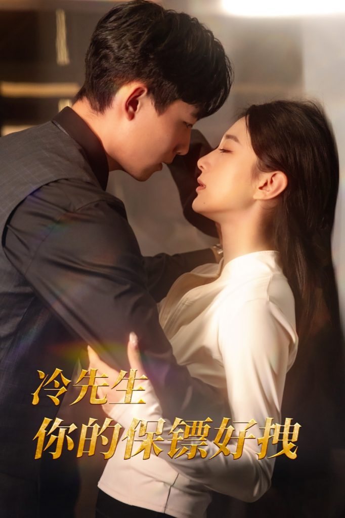 16105-冷先生你的保镖好拽（44集）-资源V站