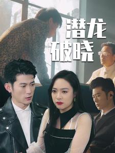 14487-潜龙破晓（88集）-资源V站