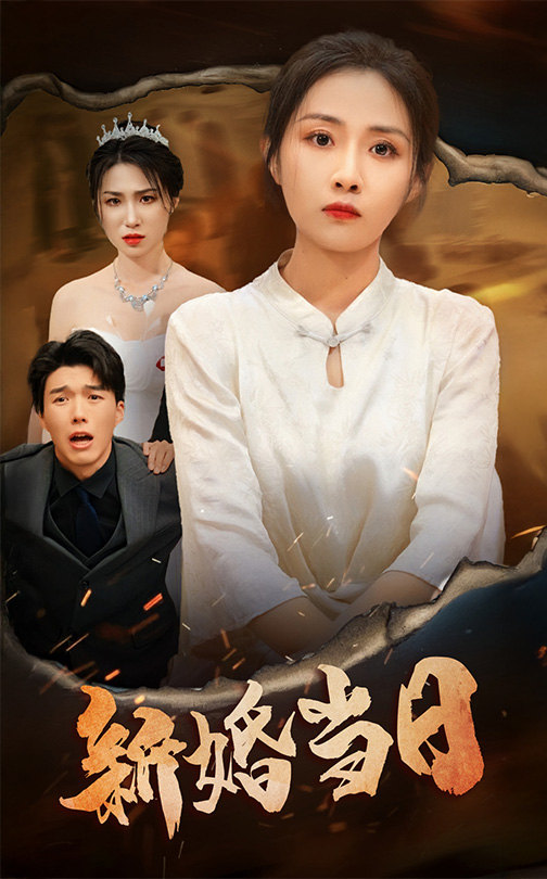 16472-新婚当日（38集）-资源V站