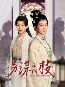 17919-另谋高枝（100集）-资源V站