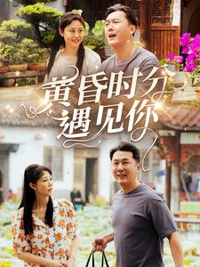 21264-黄昏时分遇见你（57集）-资源V站