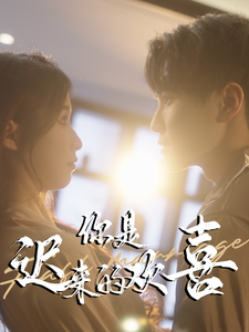 18100-你是迟来的欢喜（78集）-资源V站
