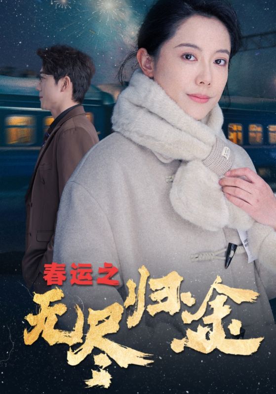 17610-春运之无尽归途（49集）-资源V站