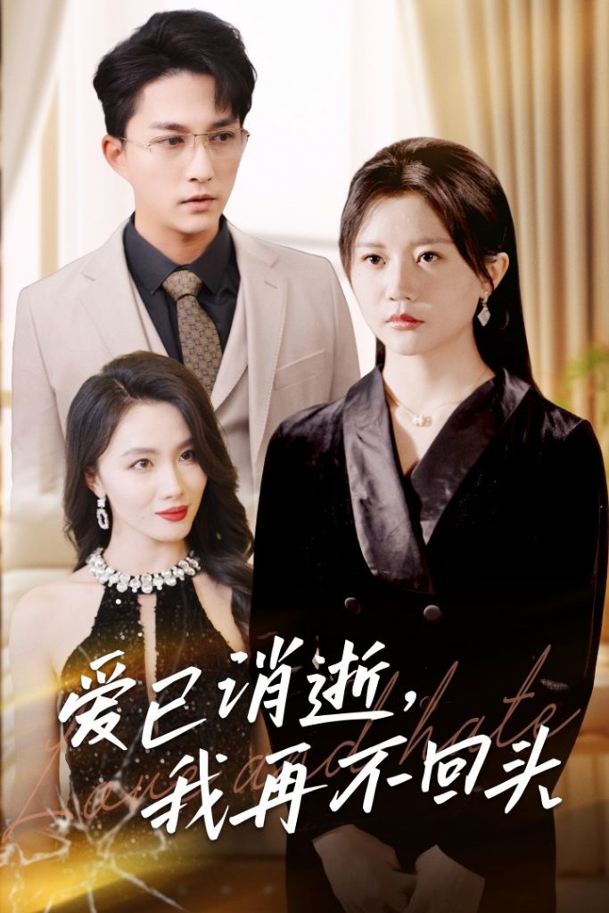 15795-爱已消逝我再不回头（31集）李家圆子-资源V站