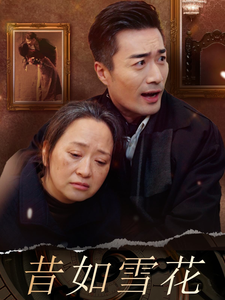 14594-昔如雪花（30集）-资源V站