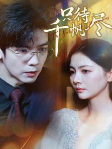 18041-只待千帆尽（40集）-资源V站