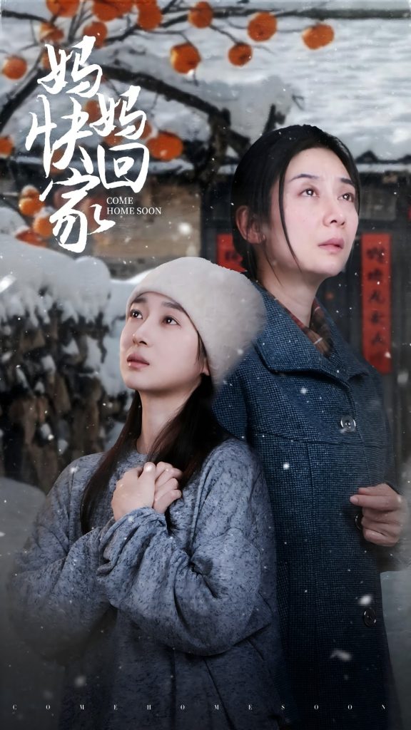 17072-妈妈快回家（31集）-资源V站