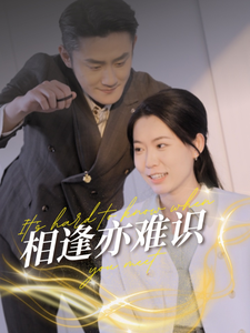 18756-相逢亦难识（50集）-资源V站