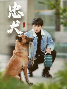 16566-忠犬（34集）-资源V站