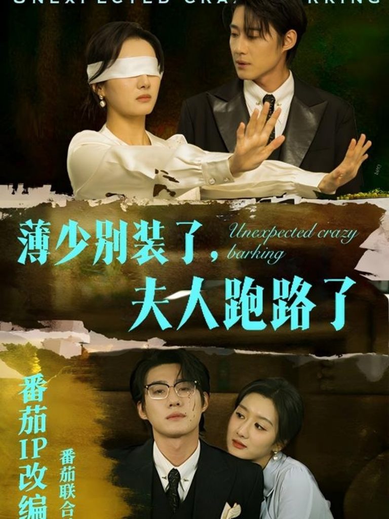 19217-薄少别装了夫人跑路了（60集）赵振栋＆柳卓青-资源V站