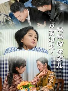 17253-万家灯火妈妈你在哪儿（53集）-资源V站