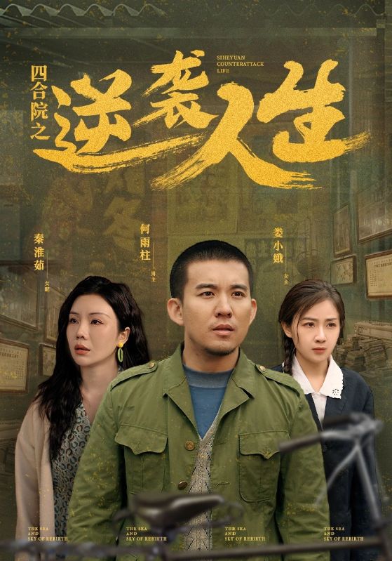 18779-四合院之逆袭人生（71集）谭论＆岳玥&涂蕊-资源V站