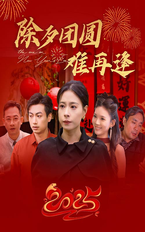 16086-除夕团圆难再逢（54集）-资源V站